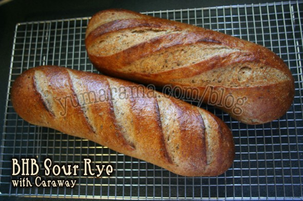 Sour Rye loaves