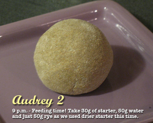 Audrey fed again and made a little softer