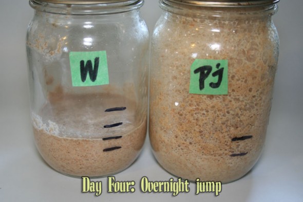 Starter Day Four: an Overnight Jump