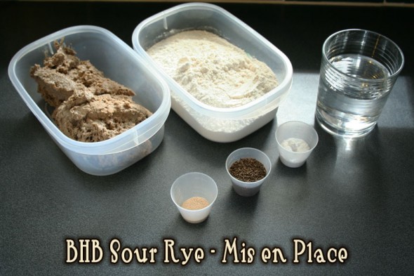 BHB-rye0204-MIS