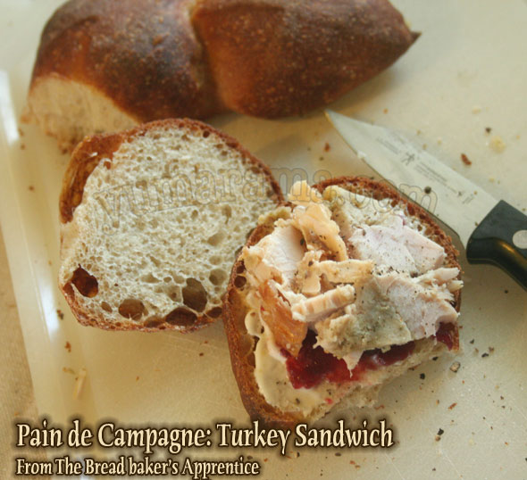 36-Campagne_Turkey-Sandwich